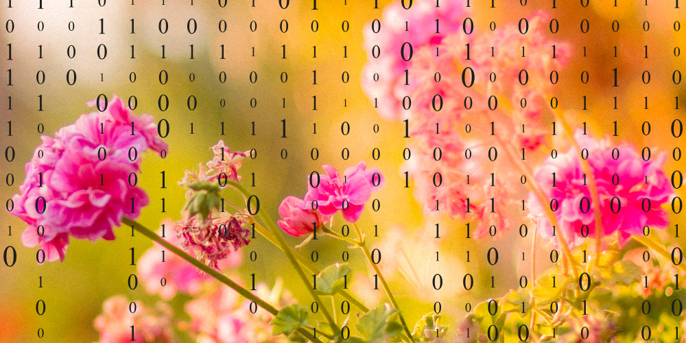 AI Effects on Writing and the Best Alternatives