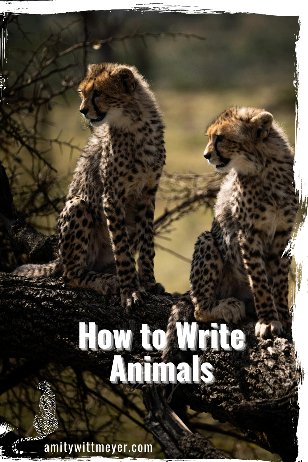 animals