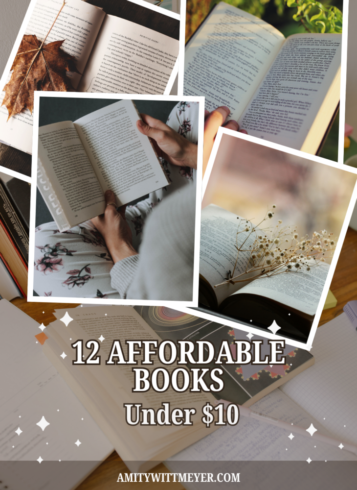 12 afforable books