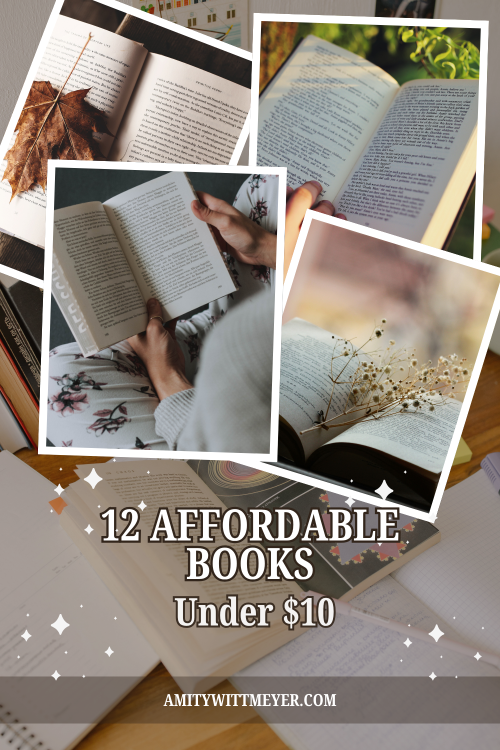 12 afforable books
